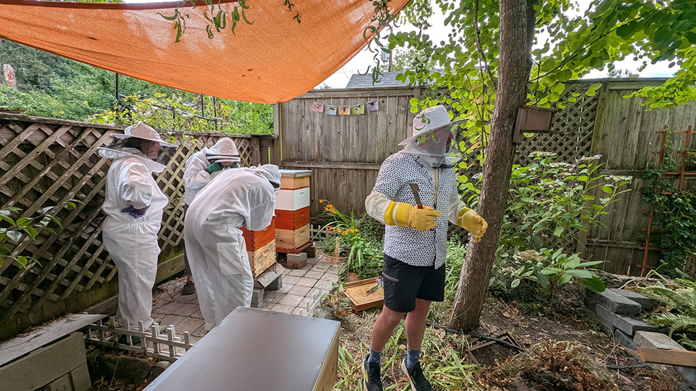 Bee Day